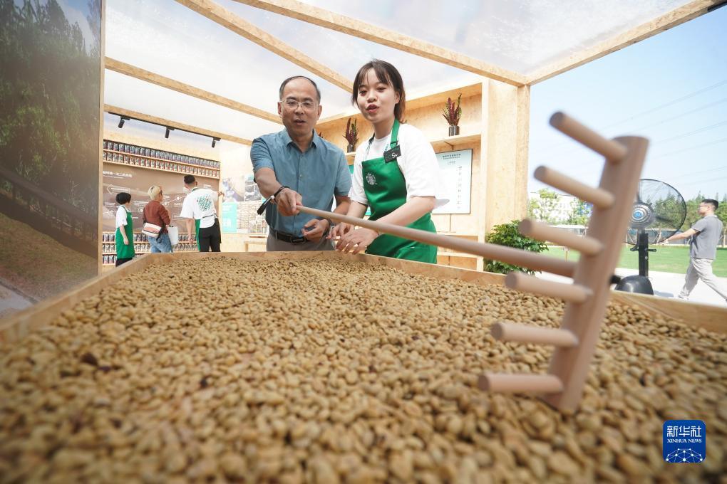 扎金花下载下载